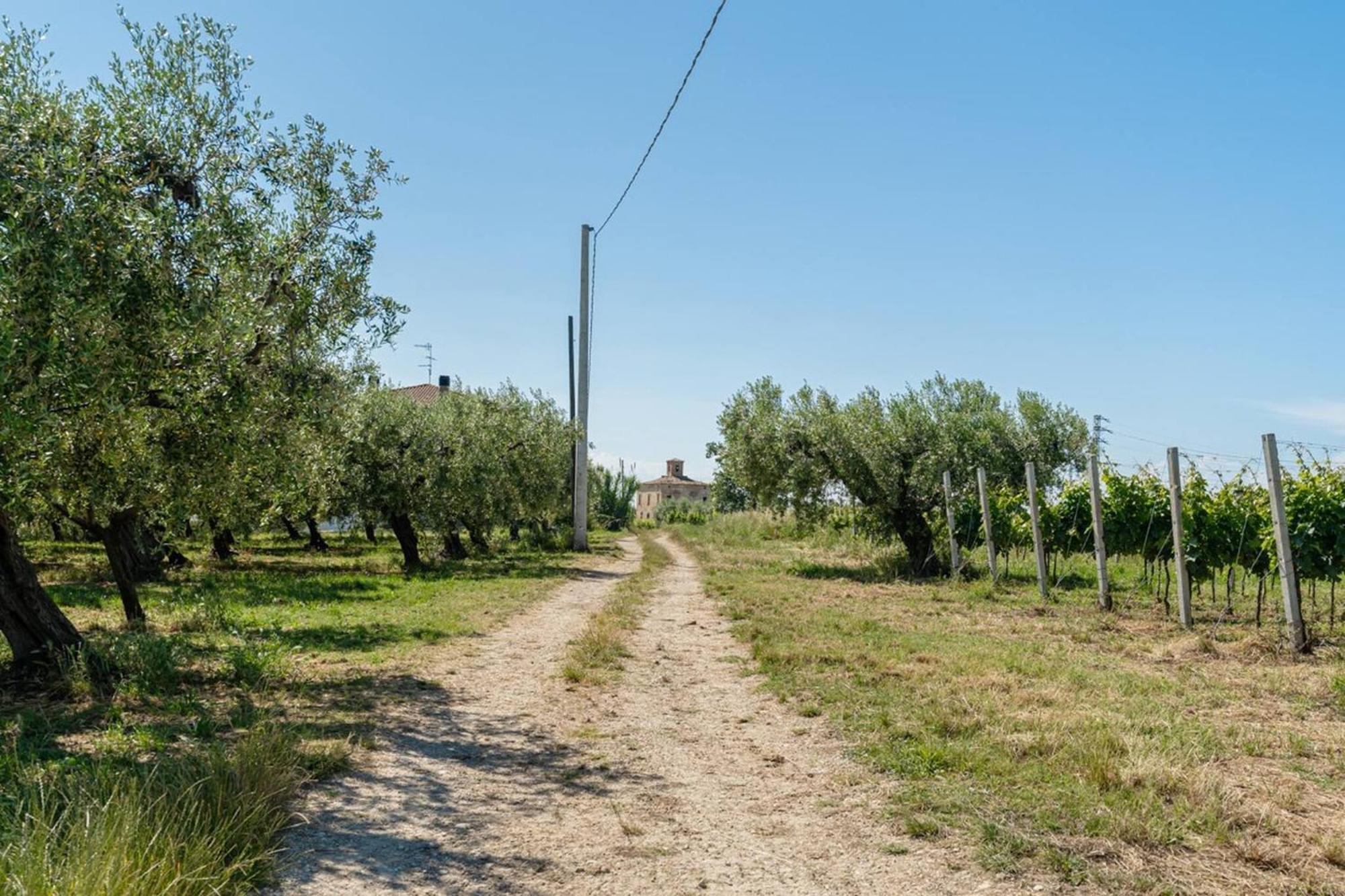 Villa Turin - Yourplace Abruzzo Torino di Sangro Kültér fotó